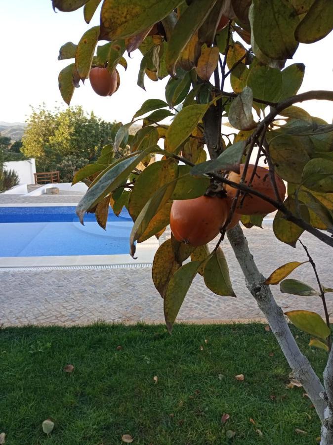 Monte Papa Figos * Malhao (Faro)