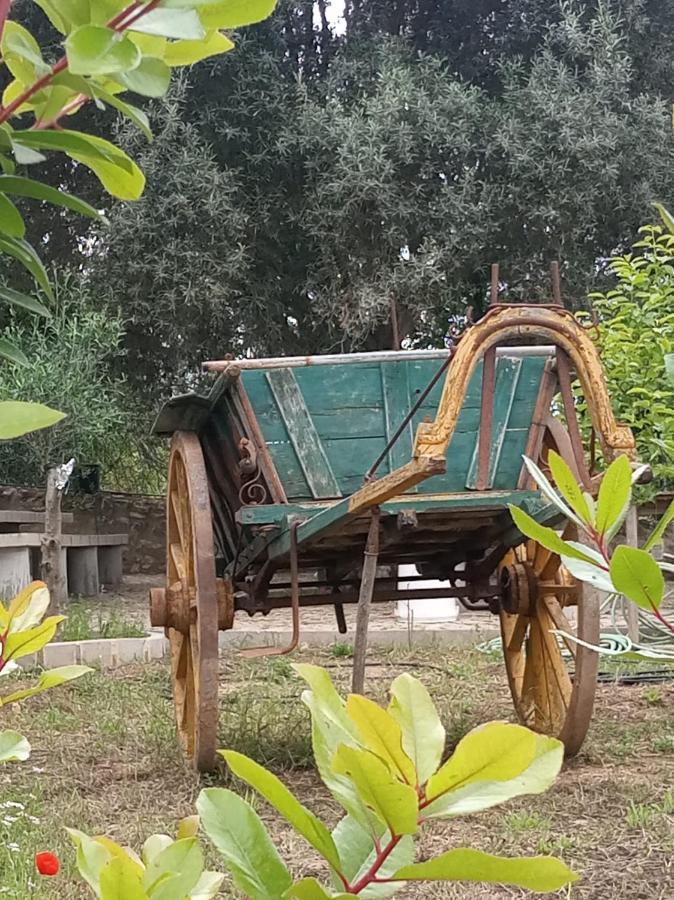 Monte Papa Figos * Malhao (Faro)